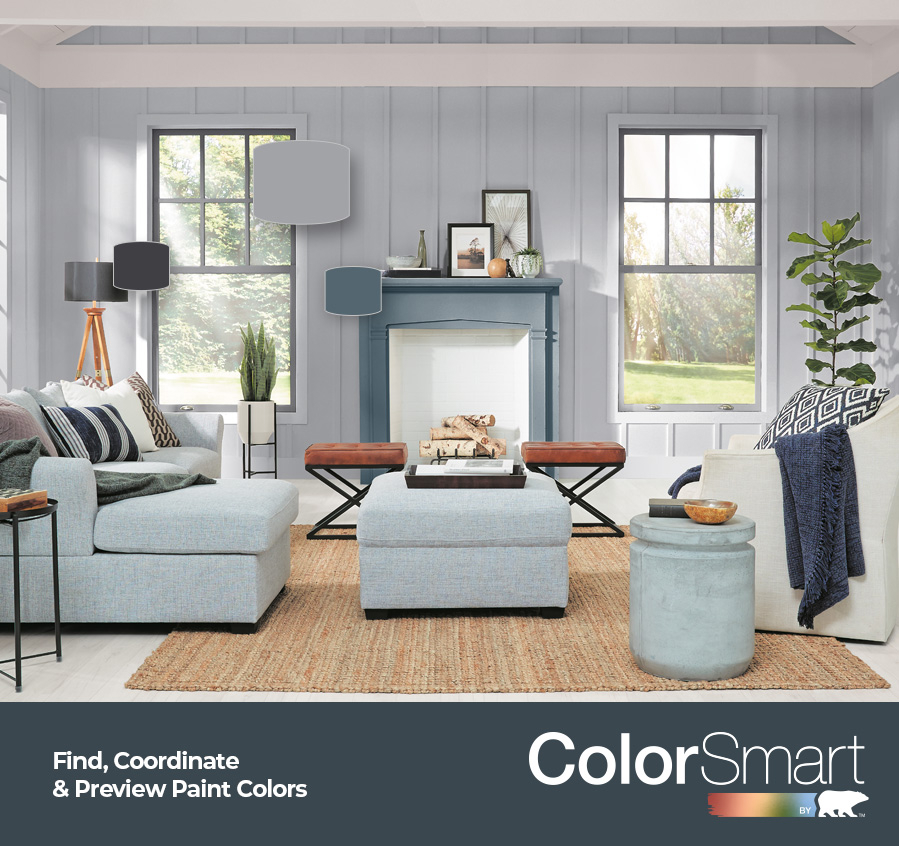 Colorsmart Banner