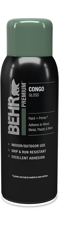 Aerosol can of Behr Premium Spray Paint Gloss, Congo