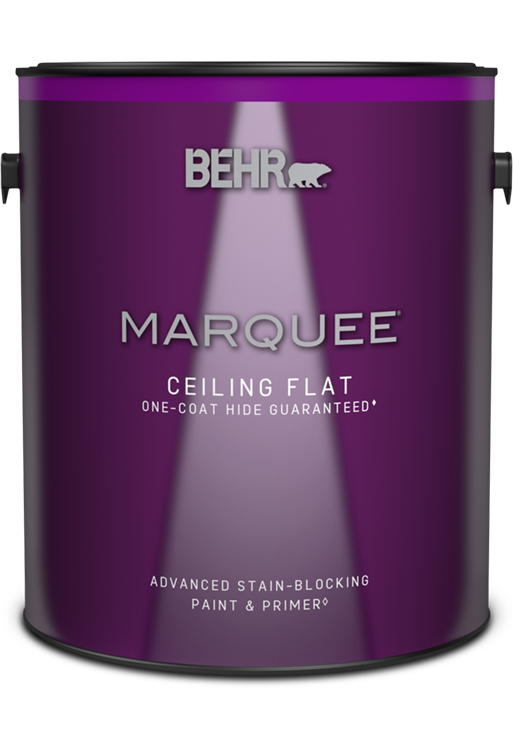 1 gal can of Behr Marquee ceiling flat paint.