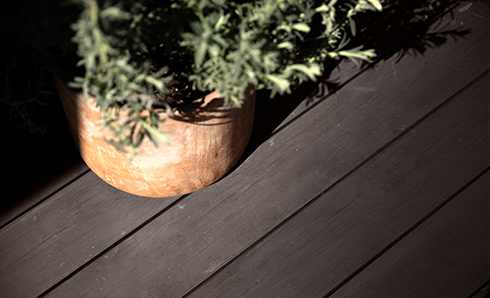 Sun shining on a plant sitting on a stained deck