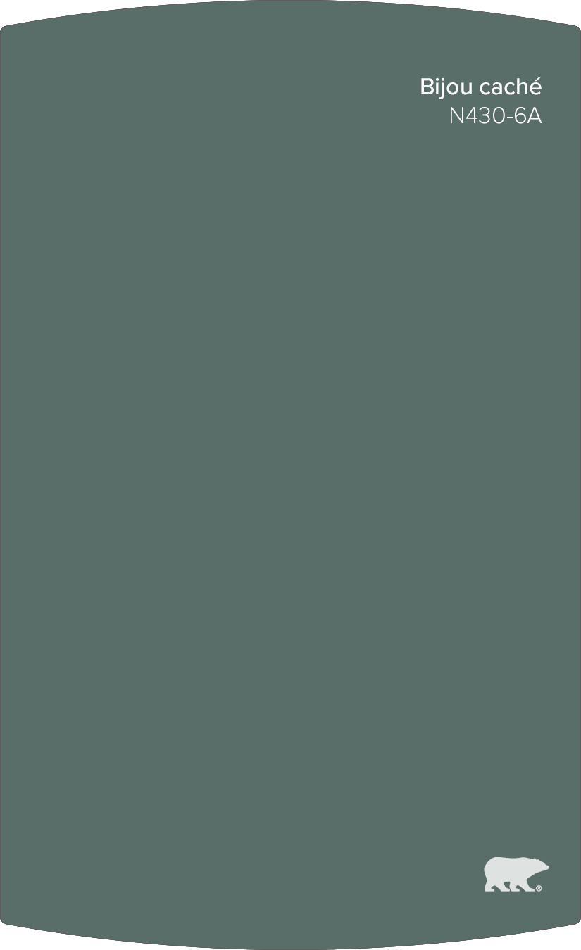 Selected Color Swatch